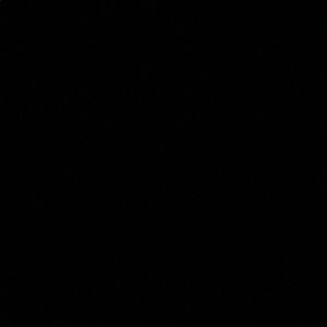 Meet your Posher, RC